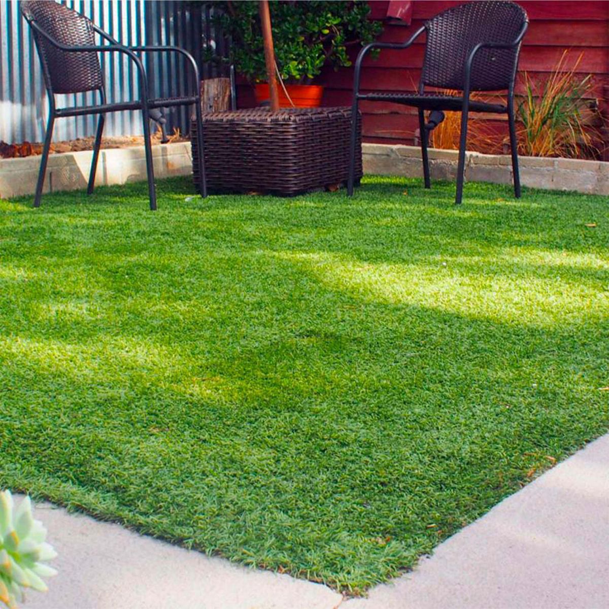 WINTER - Pasto Sintético Foresta P20 20 mm 4x10 metros