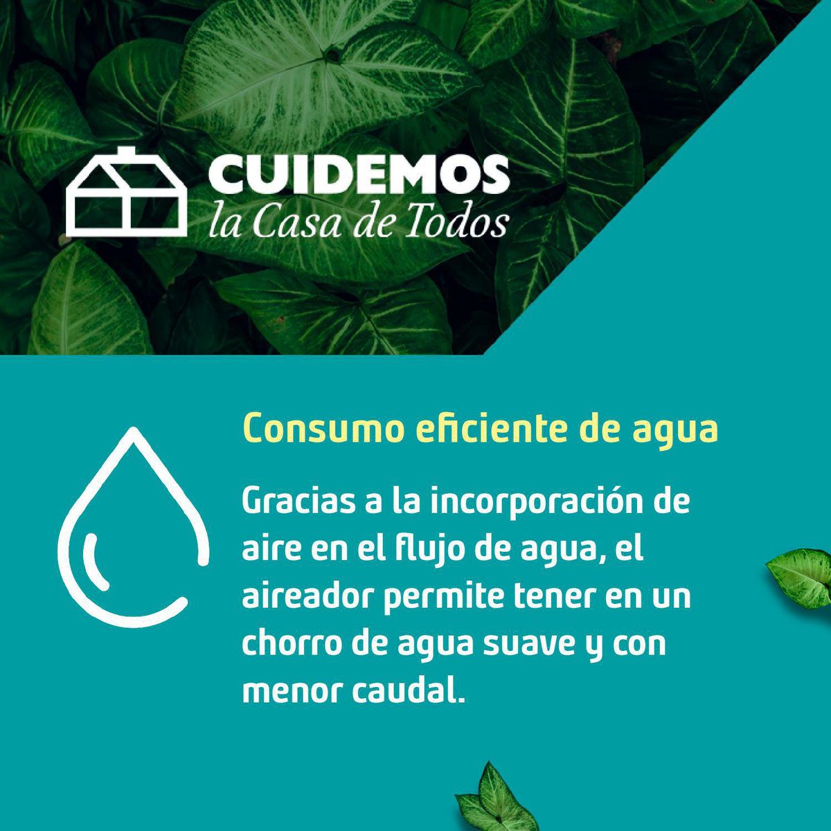 MATEU - Aireador Economizador Flexible 14cm M22 M24