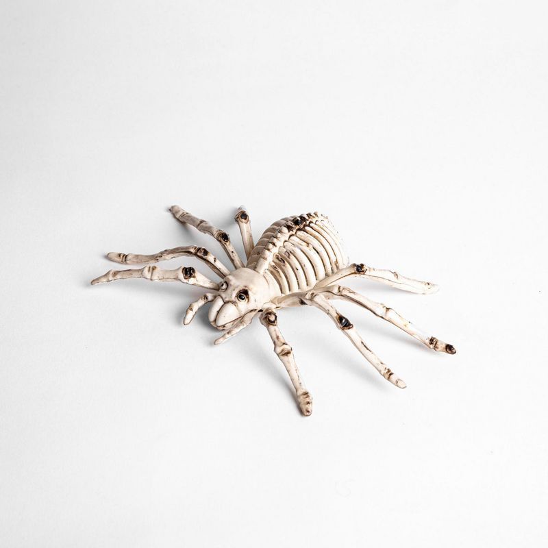 FRANK & MORTIS - Esqueleto araña