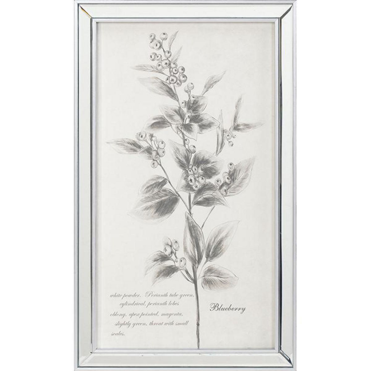 MOOD - Cuadro Esp Botánico 2 30x50 cm