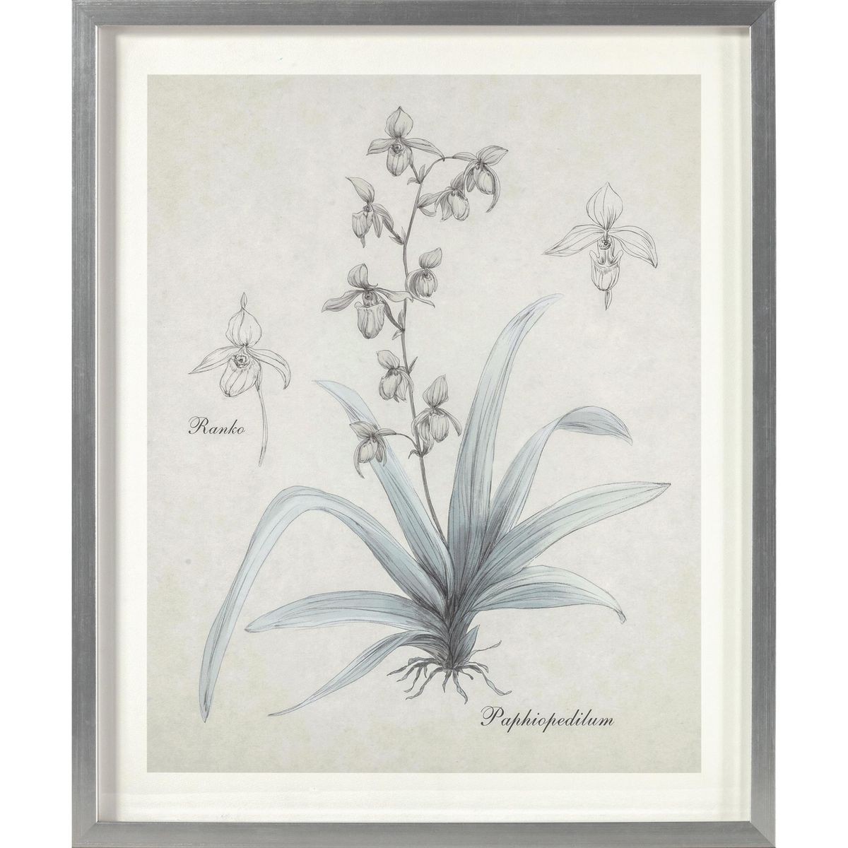 MOOD - Cuadro Flor Plata 2 50x60 cm