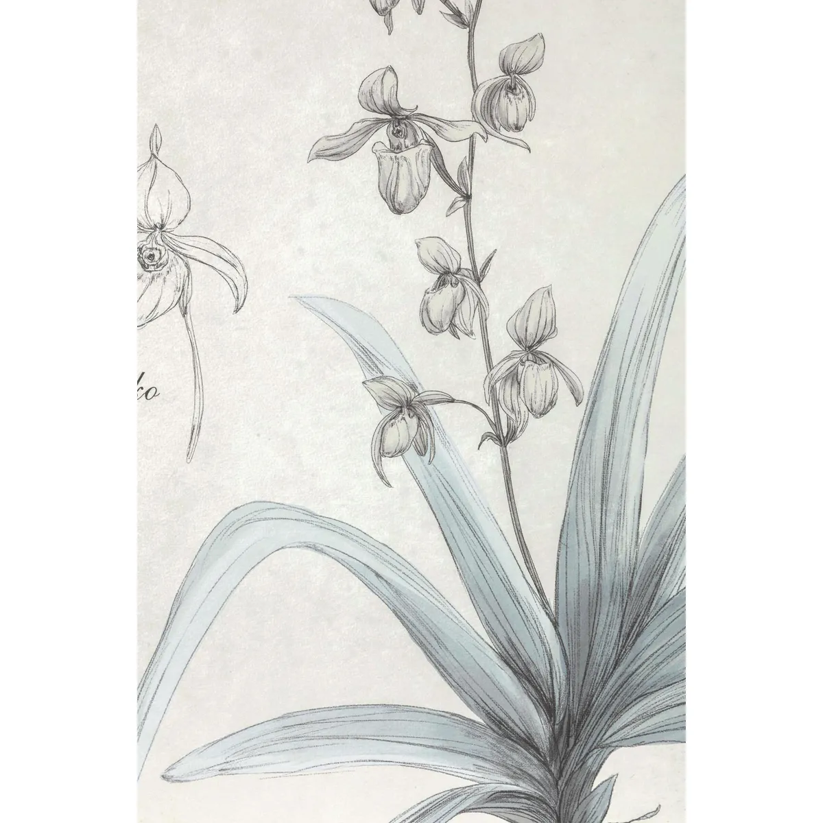 MOOD - Cuadro Flor Plata 2 50x60 cm