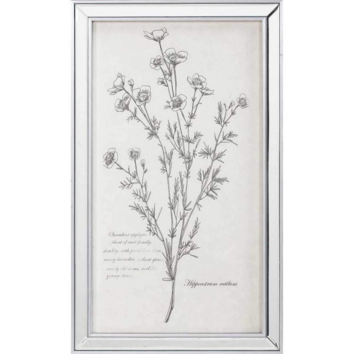 MOOD - Cuadro Esp Botánico 3 30x50 cm