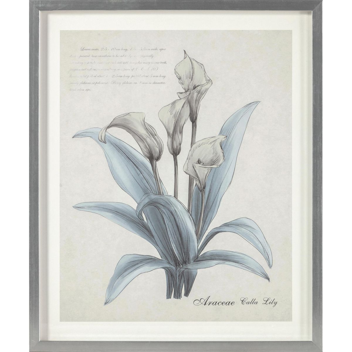 MOOD - Cuadro Flor Plata 30x50 cm