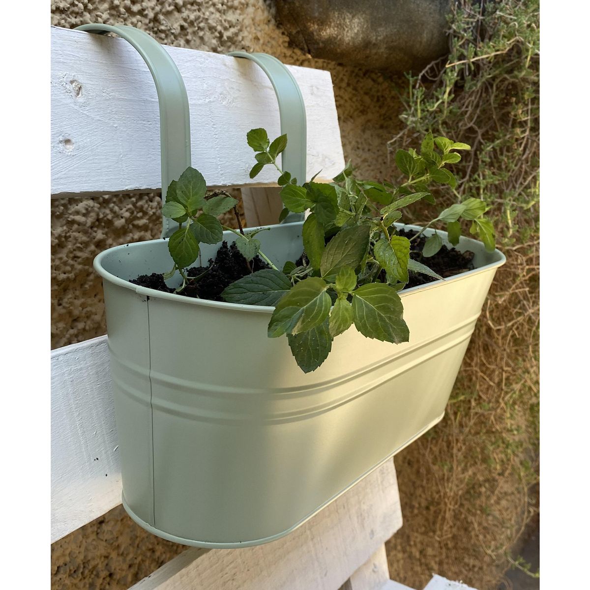 DECOGREEN - Macetero para Baranda de Metal 24x15 cm Verde