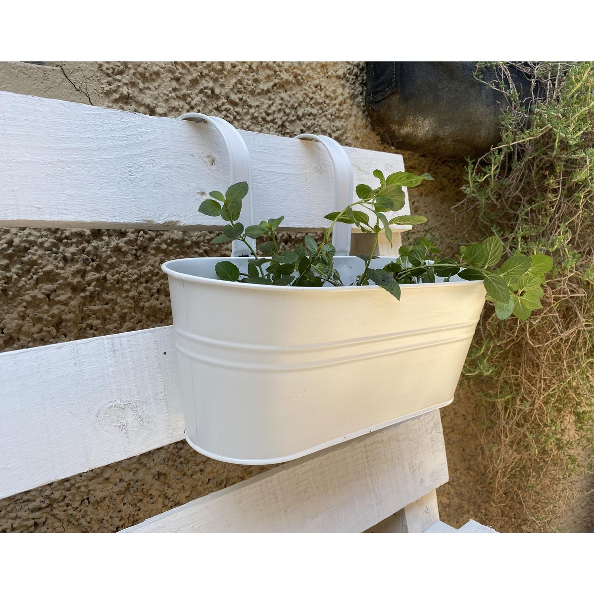 DECOGREEN - Macetero para Baranda de Metal 24x15 cm Crema