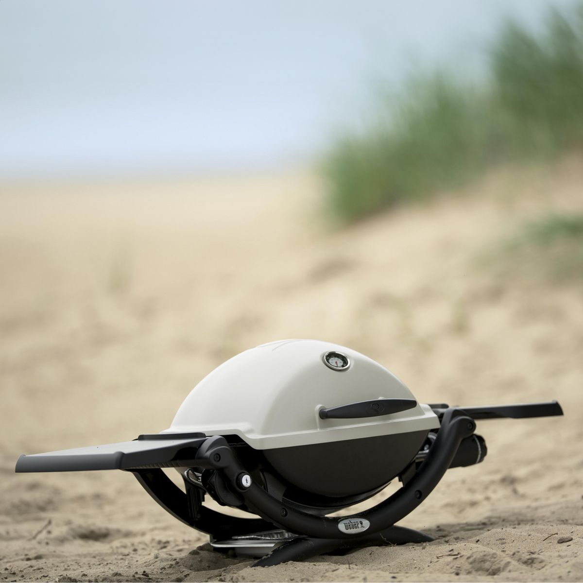 WEBER - Parrilla a gas Q1200 1 Quemadores 