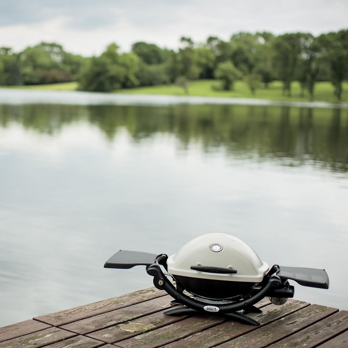 WEBER - Parrilla a gas Q1200 1 Quemadores 