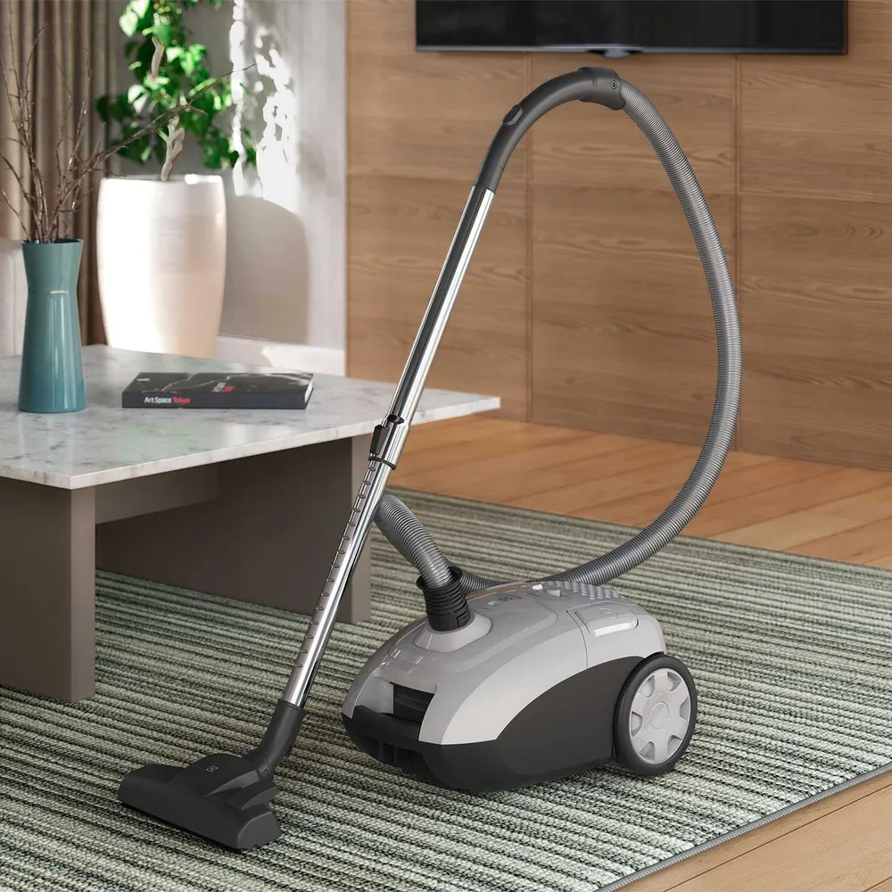 Electrolux Sonic Pro BGG30 Gris, foto 2