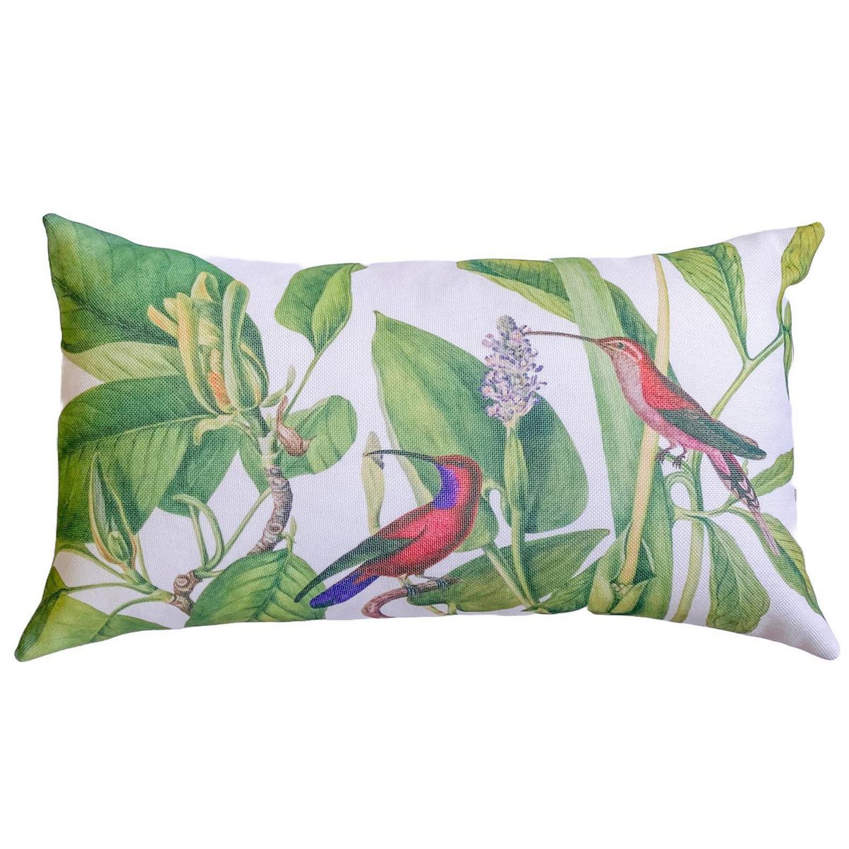 INES JOHNSON - Cojín Colibrí Dúo Verde y Beige 50x33 cm