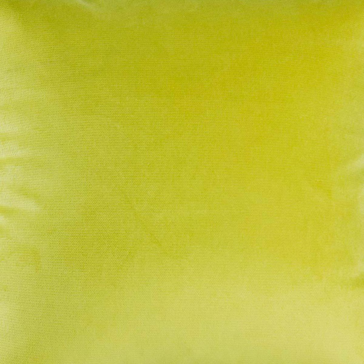 MASEL - Cojín Felpa Velvet 30x60 cm