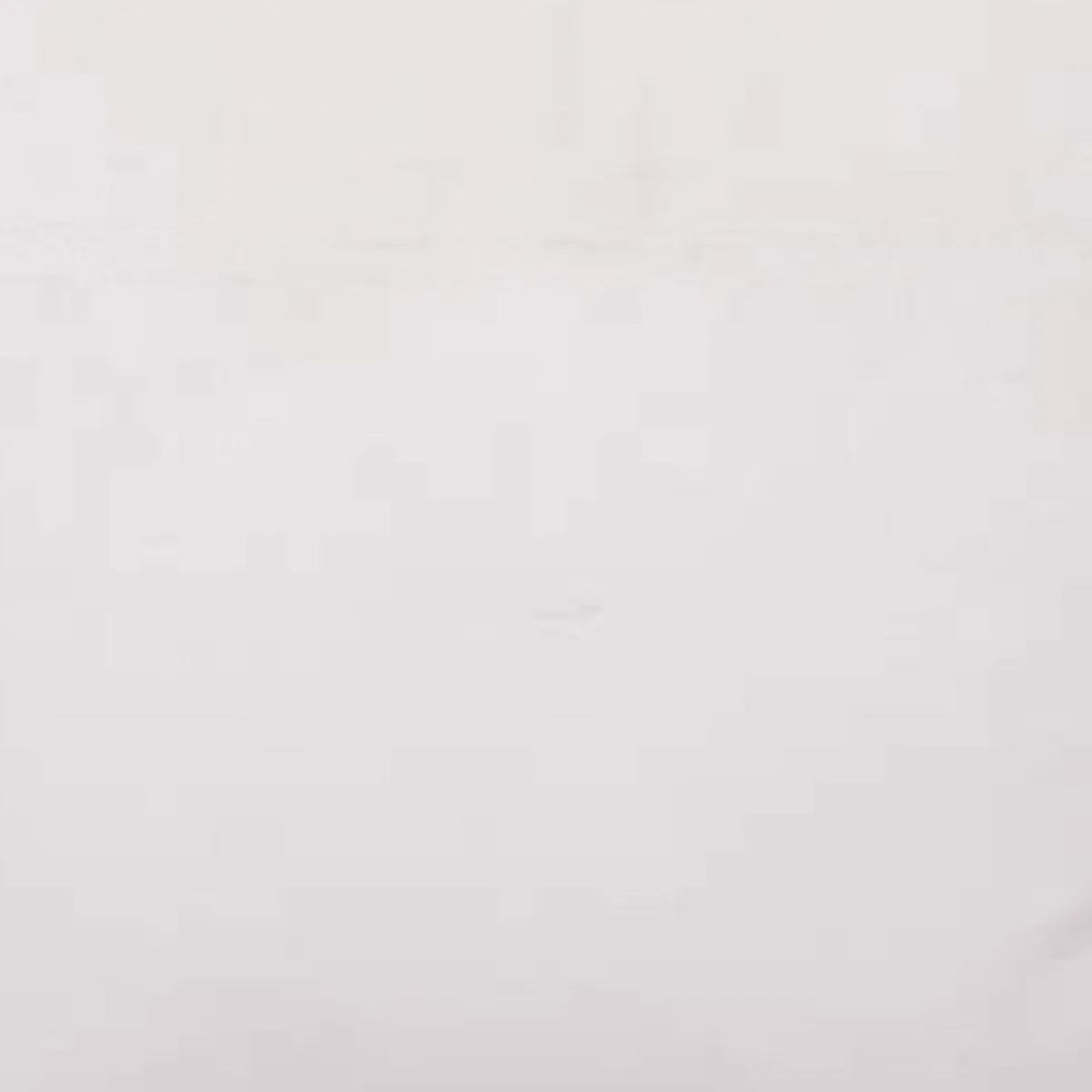 MASEL - Cojín Felpa Velvet 30x60 cm