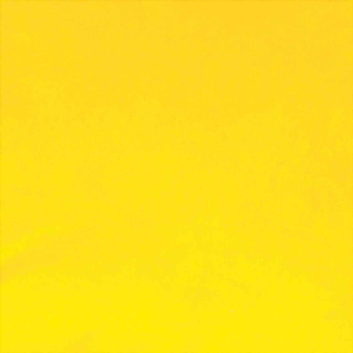 MASEL - Cojín Felpa Velvet 30x60 cm