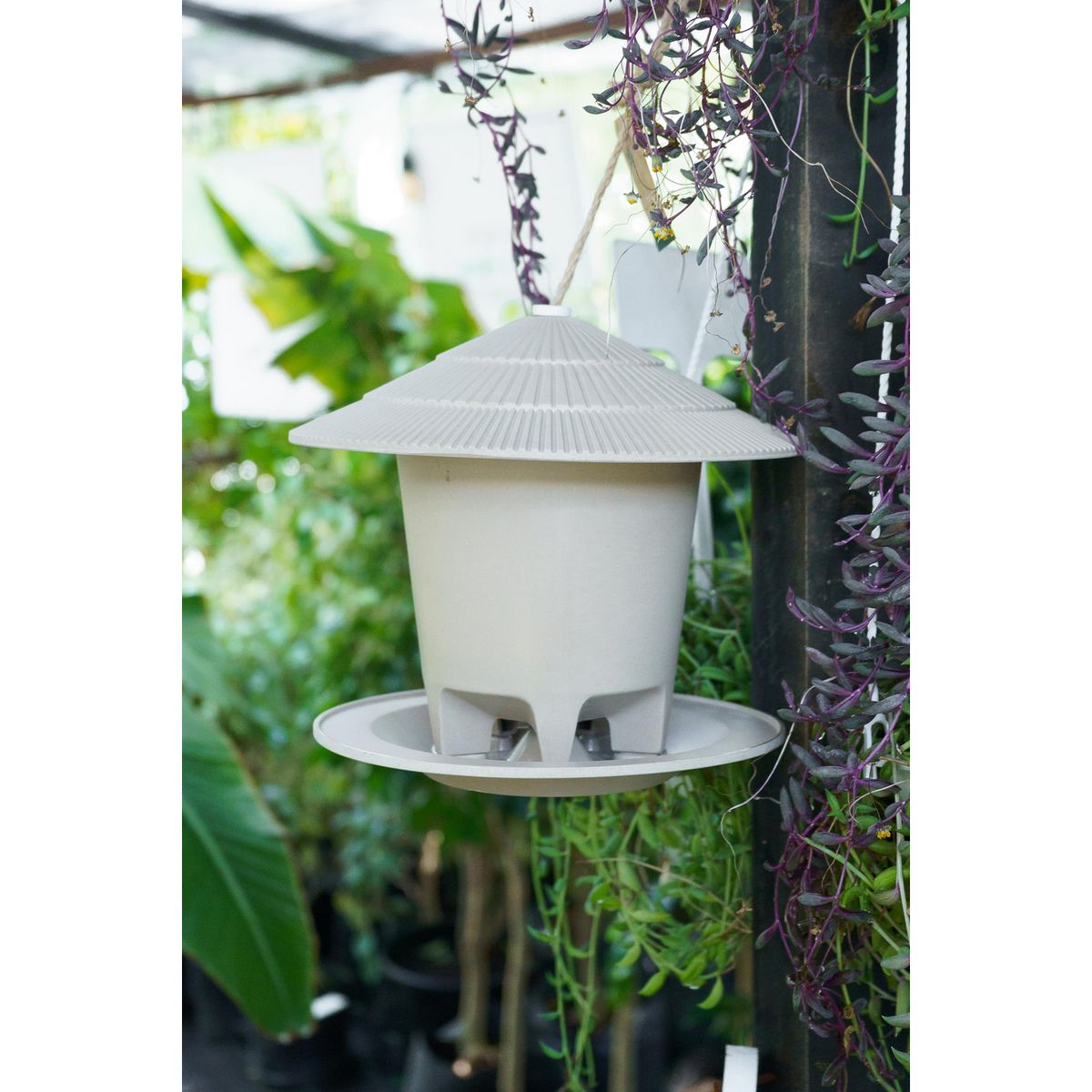 PLANT ME - Comedero pájaros Aysen