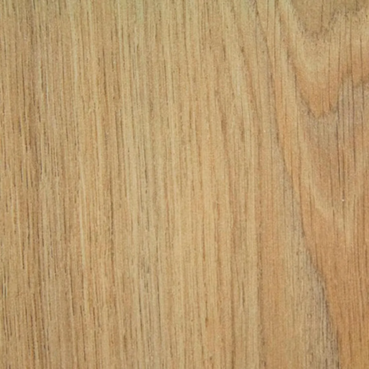 WINTER - Piso laminado 8 mm Paris Encina 1.9 m2