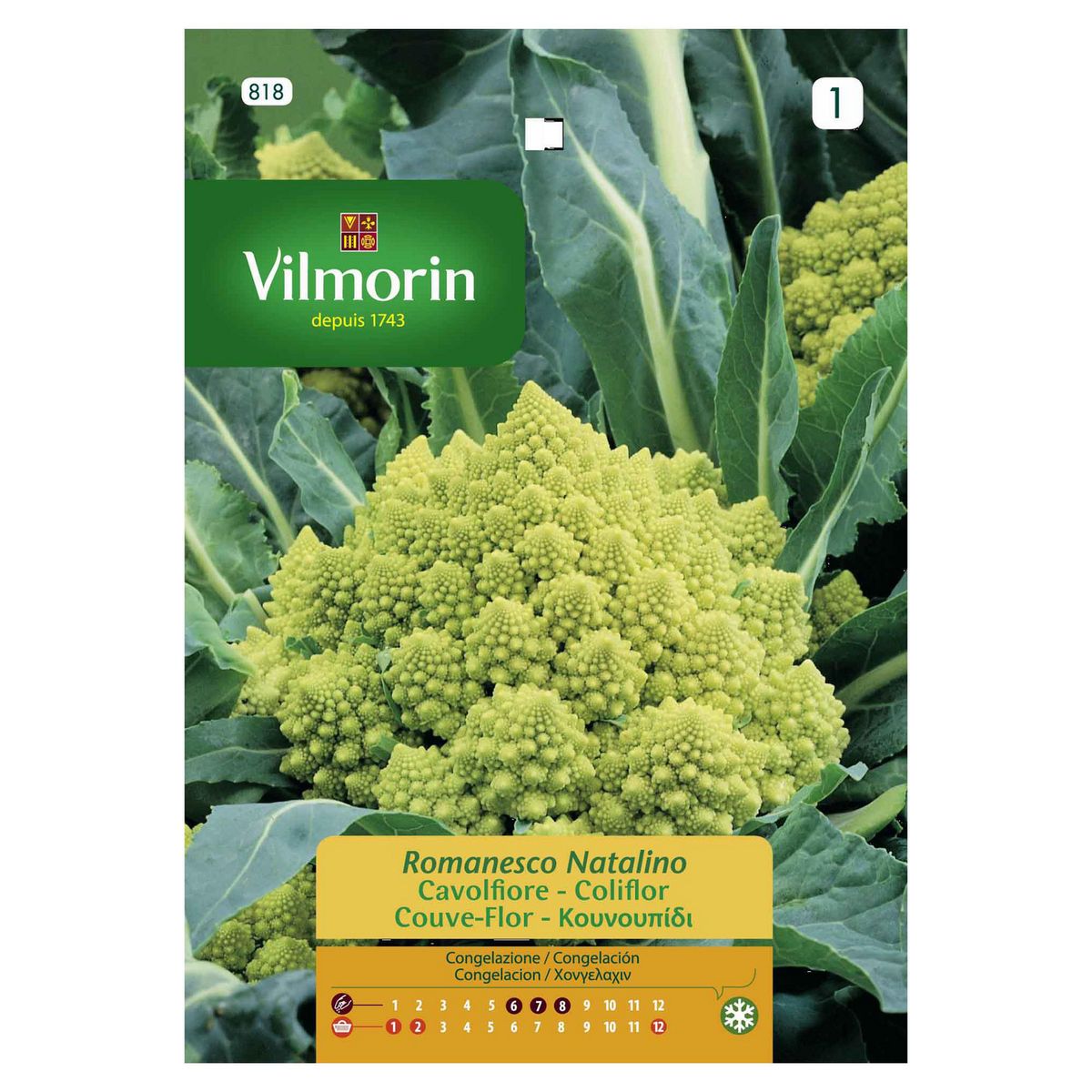 VILMORIN - Semilla de Brócoli Romanesco 5 gr Sachet