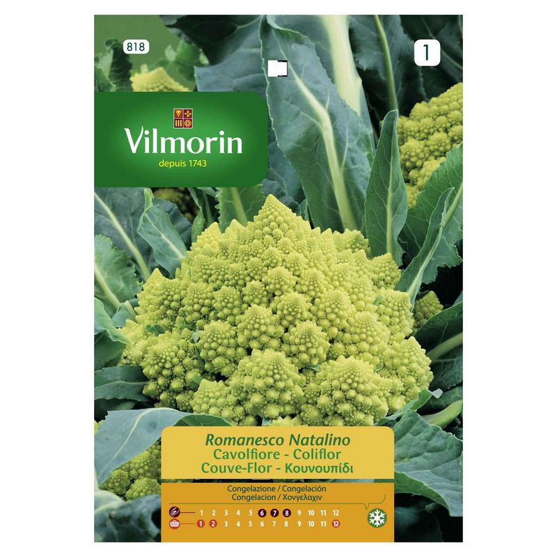 VILMORIN - Semilla de brócoli romanesco