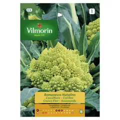 VILMORIN - Semilla de brócoli romanesco