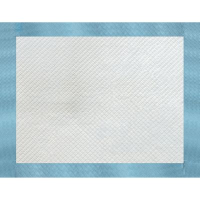 Imagen 2 del producto Sabanilla para perros entrenamiento 60x60 cm 40 unds