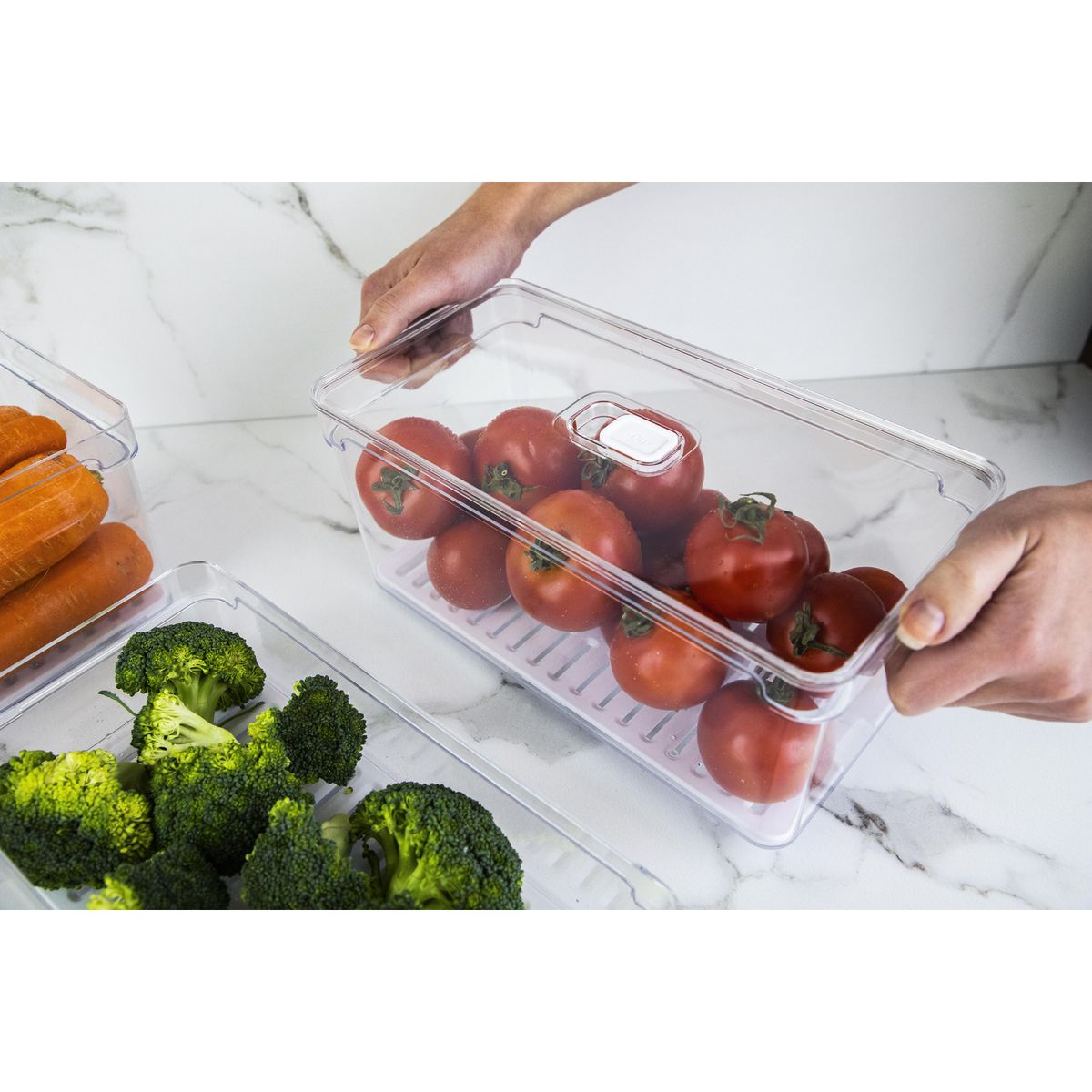 OU - Organizador refrigerador 5lt