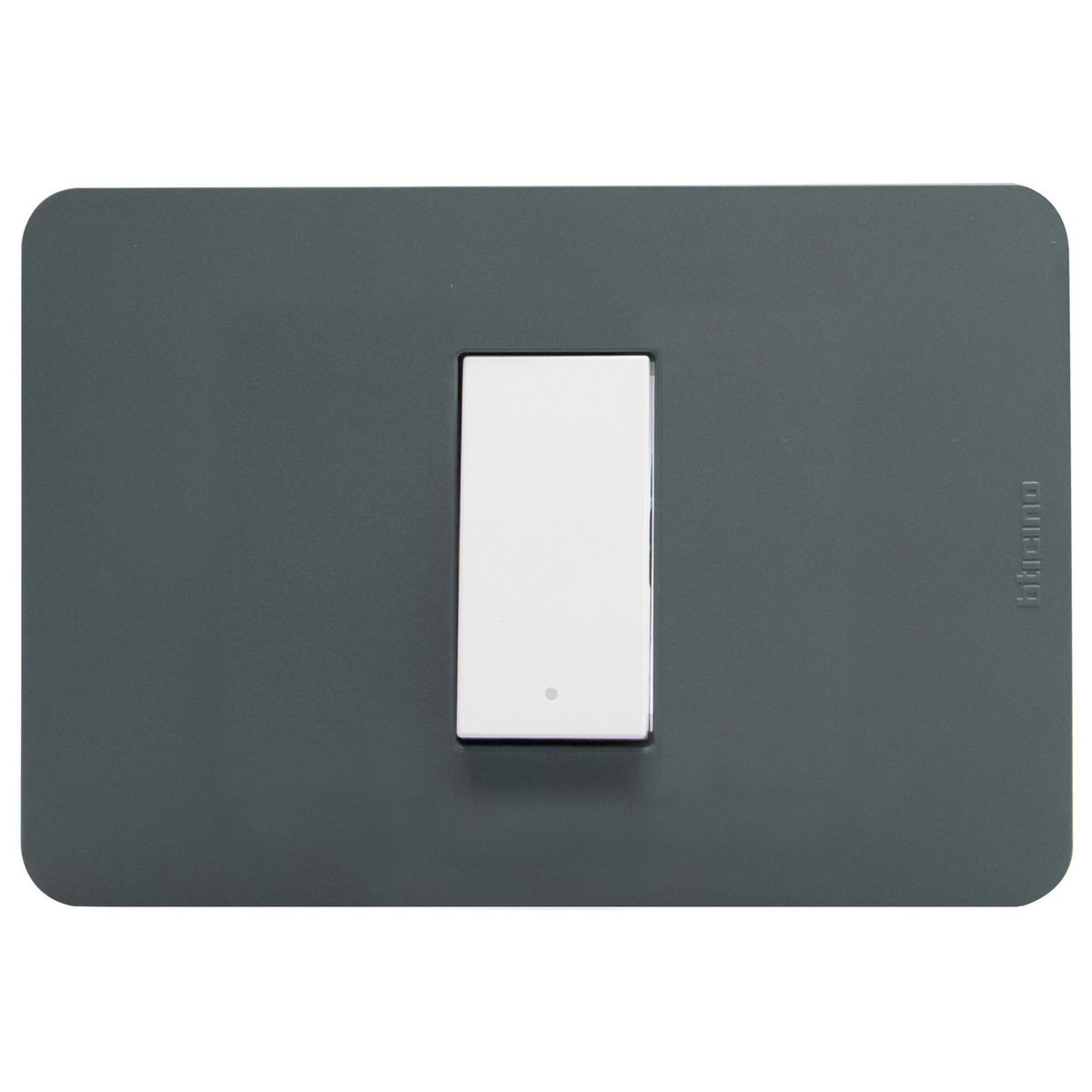 BTICINO - Interruptor simple 9/12  agave