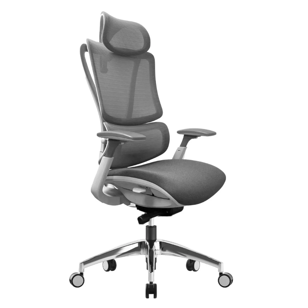 CONTATTO - Silla escritorio Ejecutiva Ergonómica Ergopop Gris