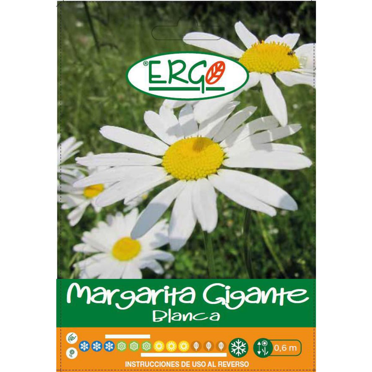 ERGO - Semilla Flor Margarita 1 gr Sachet
