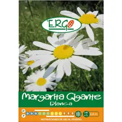 ERGO - Semilla flor margarita
