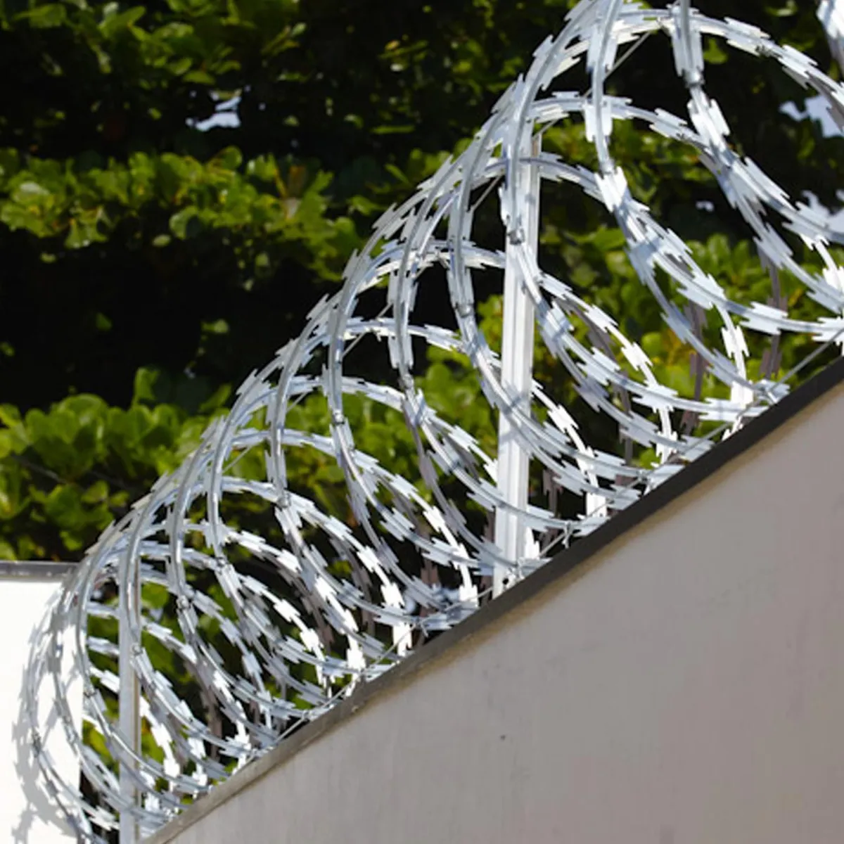 HOGA - Rollo Concertina Diámetro 20 cm con Candados 10 m