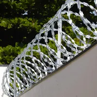 Rollo Concertina Diámetro 20 cm con Candados 10 m