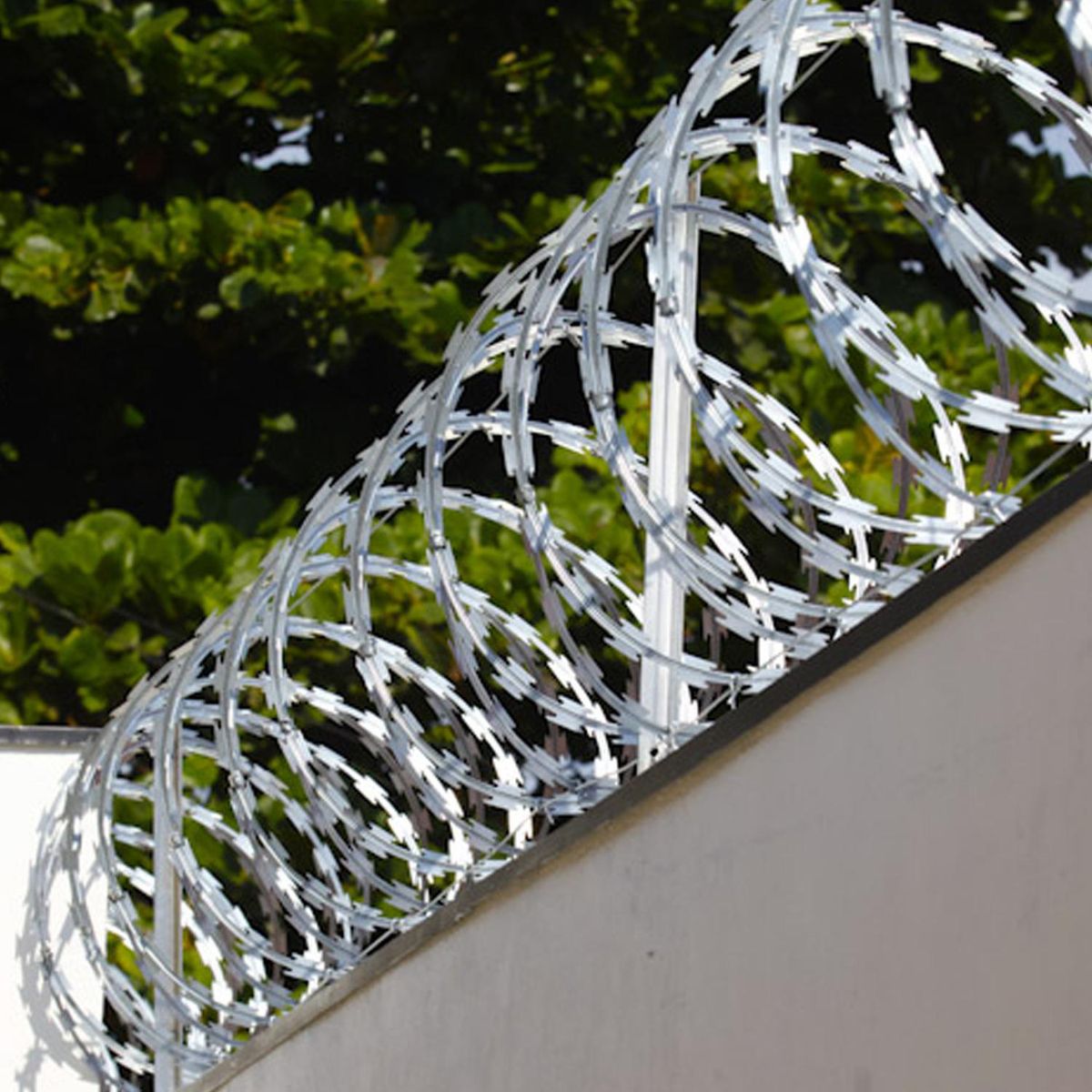 HOGA - Rollo Concertina Diámetro 20 cm con Candados 10 m