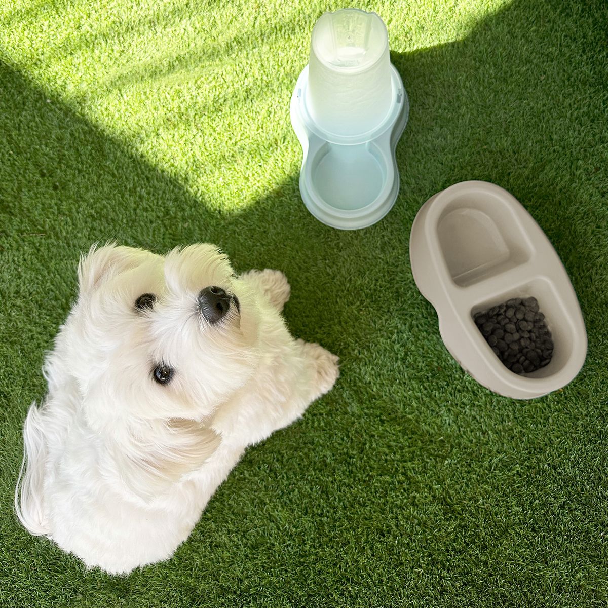 COOL PETS - Bebedero comedero doble 500 ml