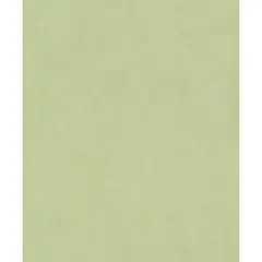 RASCH - Papel Mural Cosy Living 330052 5 m2