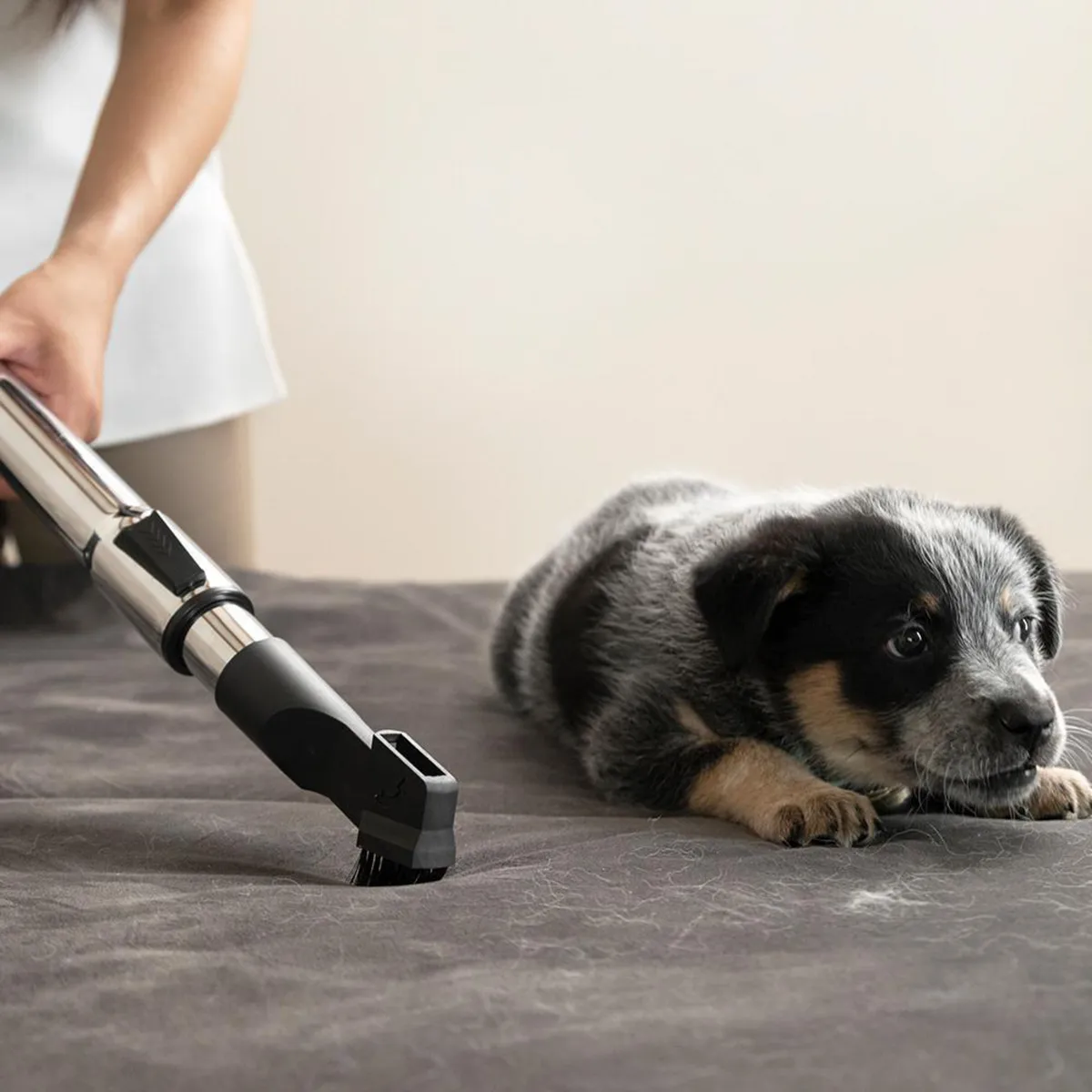 KARCHER - Aspiradora Ciclónica Arrastre 1000 W 1.5 Litros VCL 3 CYCLONIC