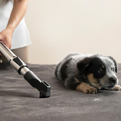 Imagen 2 del producto Aspiradora Ciclónica Arrastre 1000 W 1.5 Litros VCL 3 CYCLONIC