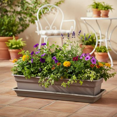 Imagen 2 del producto Base Jardinera Plástica Rectangular N°24 Para Jardín