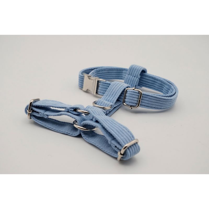 PETIZOOS - Arnés tela cotelé talla L, color azul
