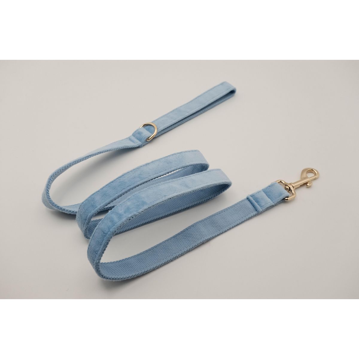 PETIZOOS - Correa Xl Para Mascotas