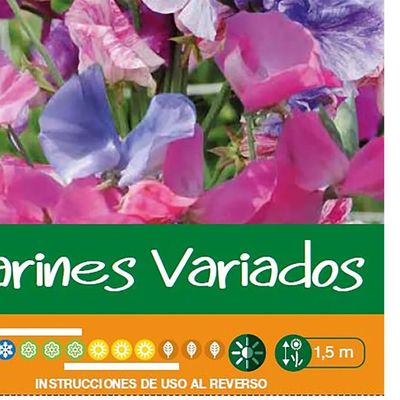 Imagen 2 del producto Semilla Flor Clarines 2 gr Sachet