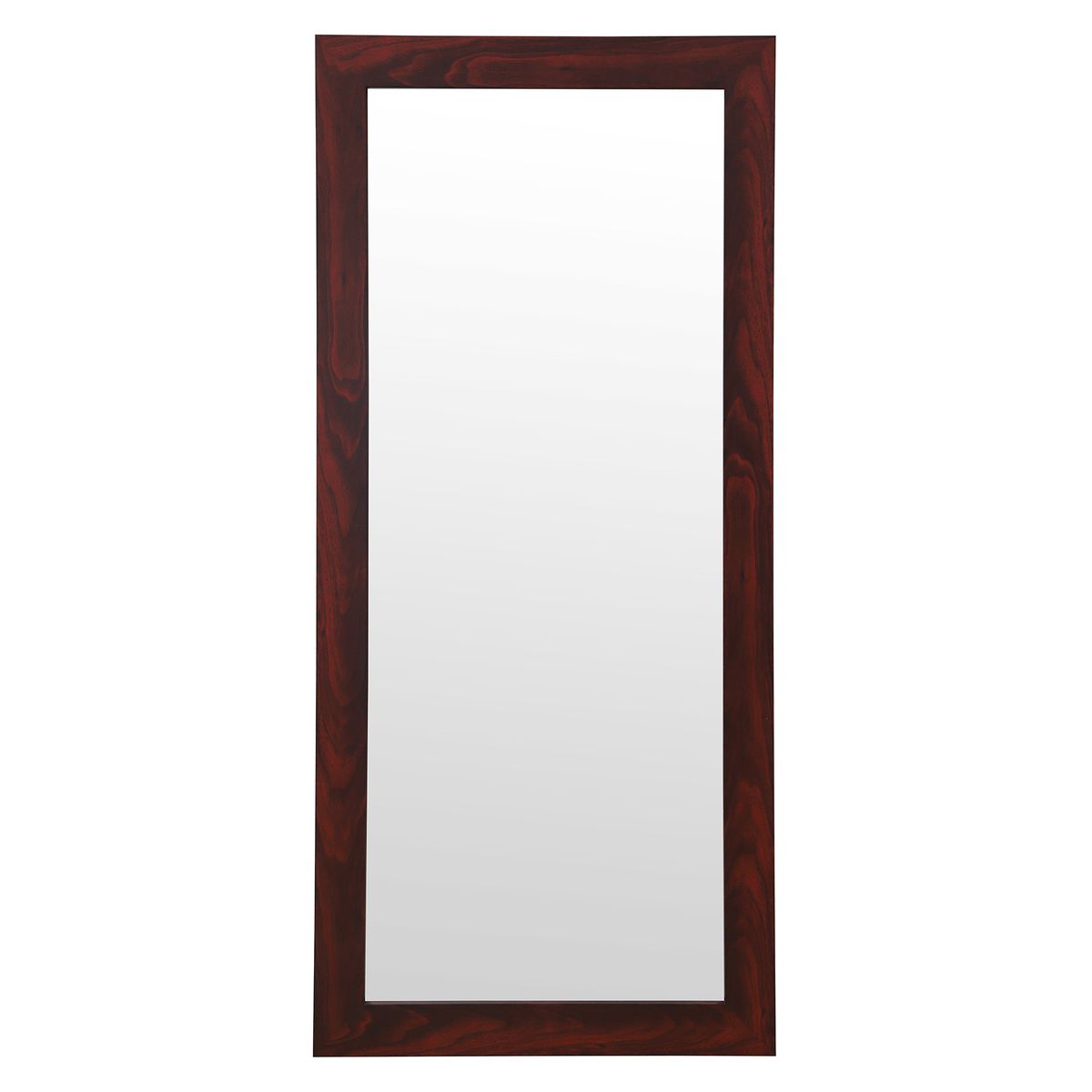 DORAL - Espejo Decorativo Forma Rectangular 55x120 cm Otro Pared