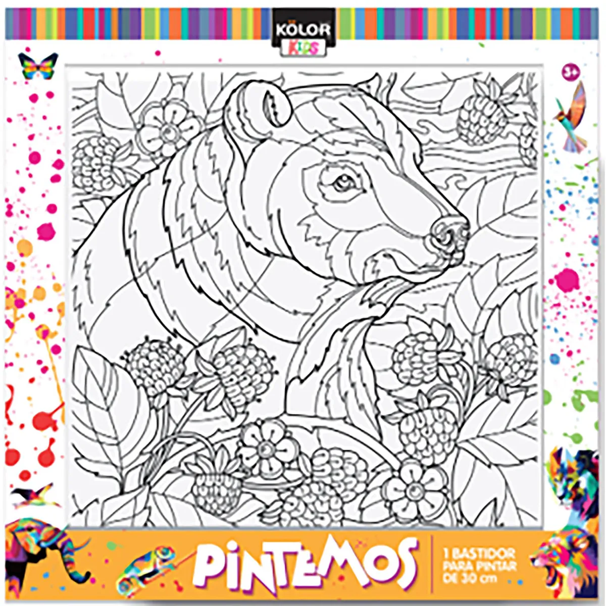 KOLOR - Set 1 Bastidor 30x30 cm Kolor