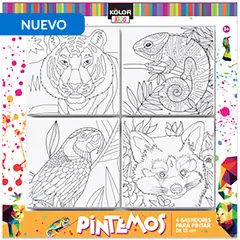 KOLOR - Set 4 Bastidores 15x15 cm