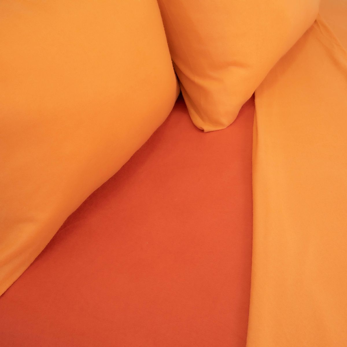 DORAL - Sábana Polar Compose Senses