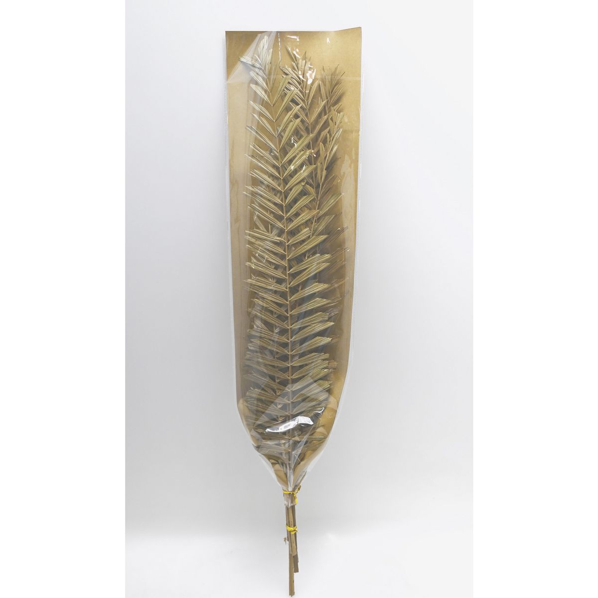 SOHOGAR - Ramo Natural Palma 70 cm Verde