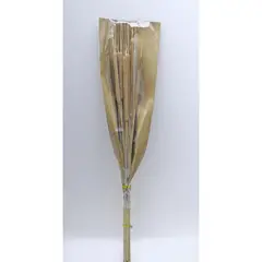 SOHOGAR - Ramo Natural Bambusa 70 cm Café