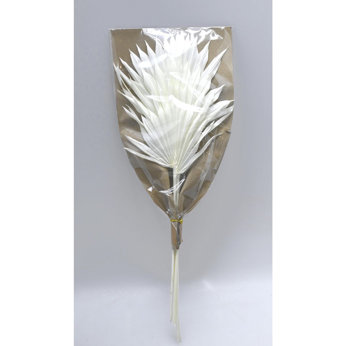 SOHOGAR - Ramo Natural Mini Areca 65 cm Blanco