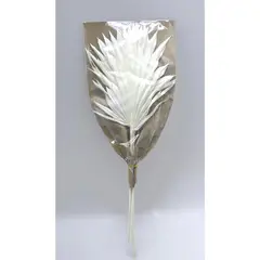 SOHOGAR - Ramo Natural Mini Areca 65 cm Blanco