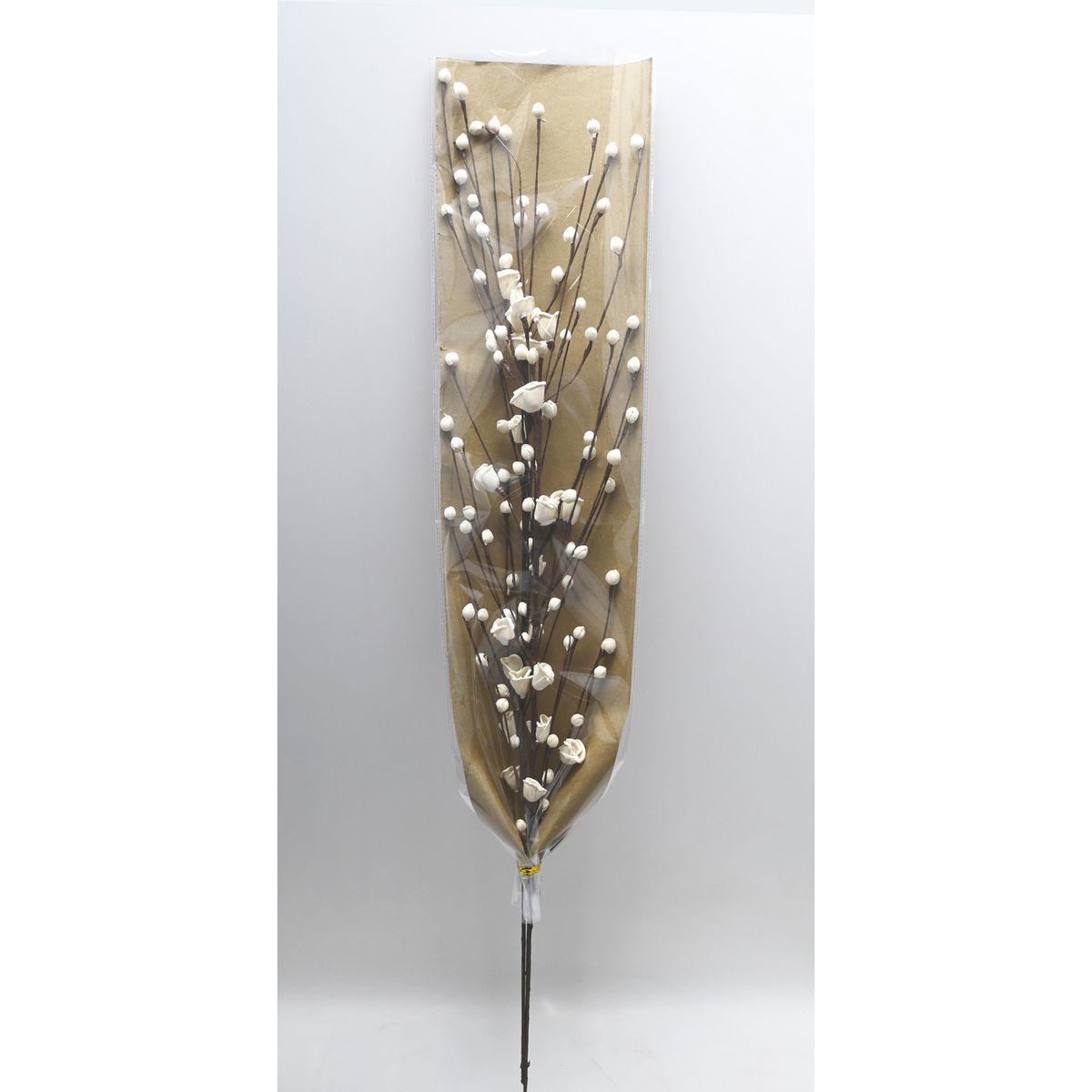 SOHOGAR - Rama Botones Papel Eva 100 cm Blanco