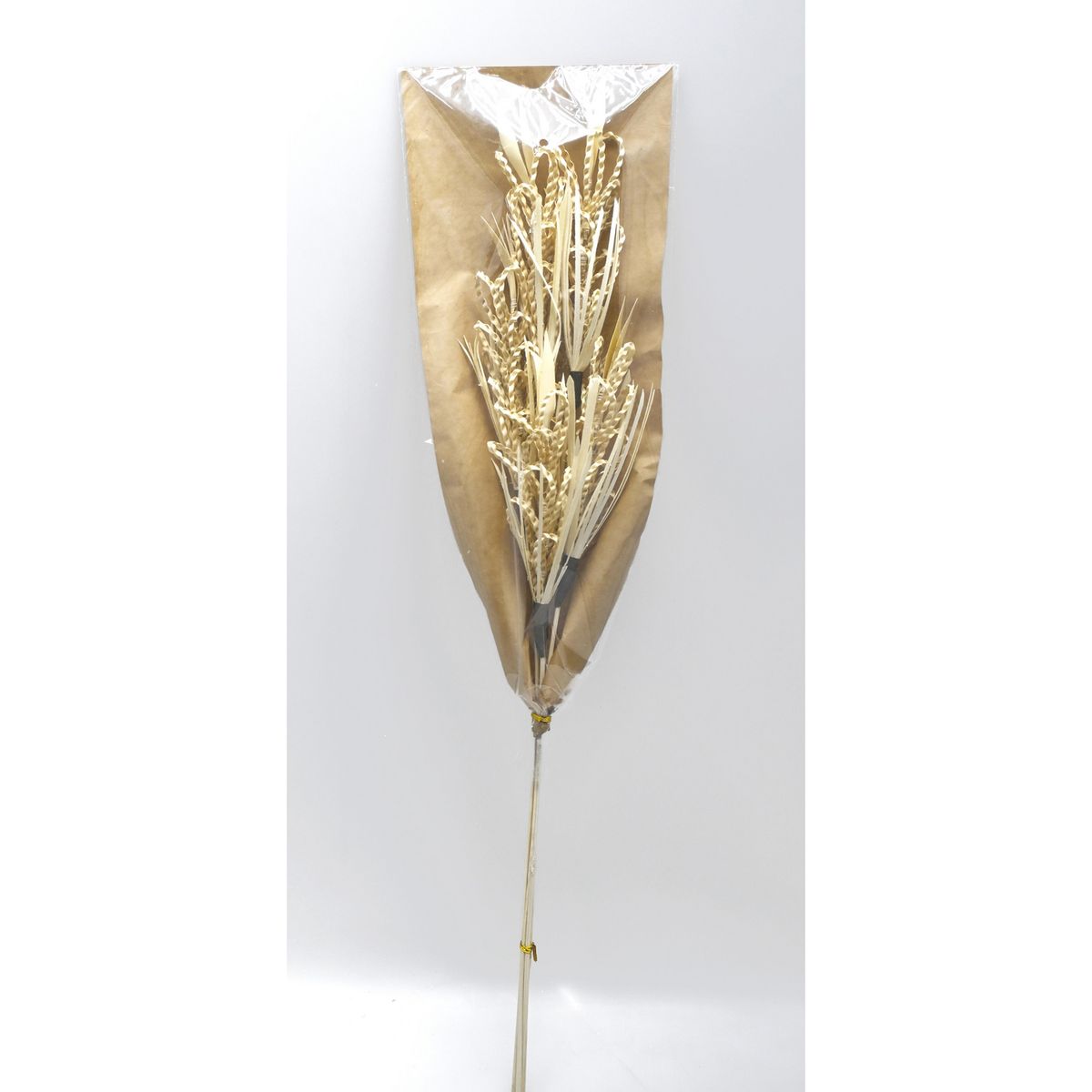 SOHOGAR - Ramo Natural Barley 60 cm Beige