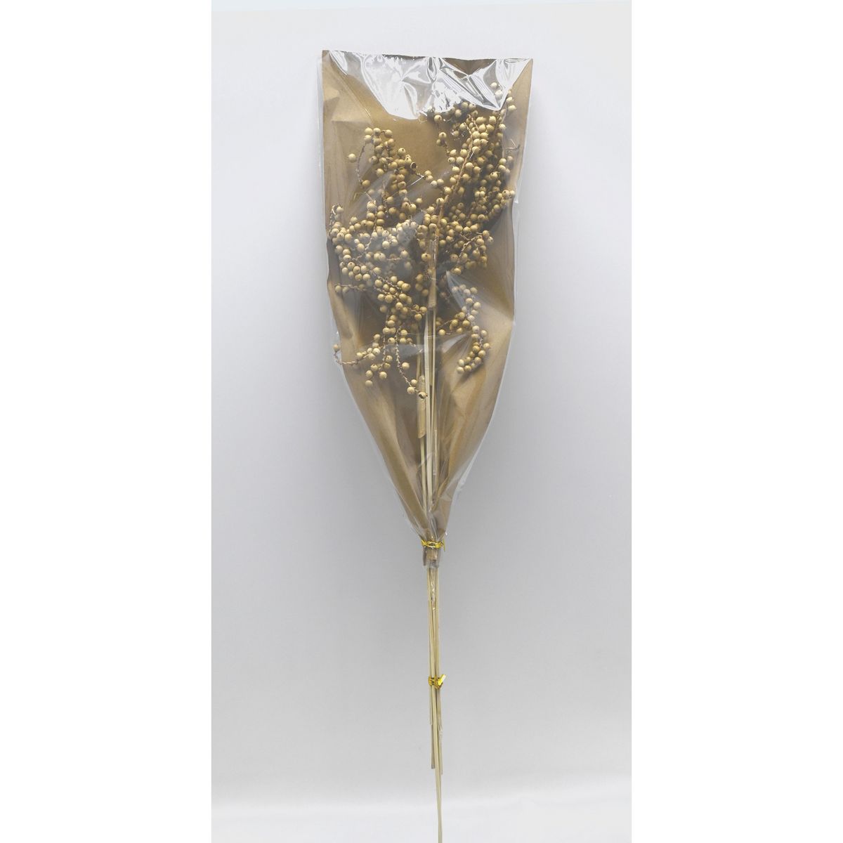 SOHOGAR - Ramo Natural Cinnamon 70 cm Café